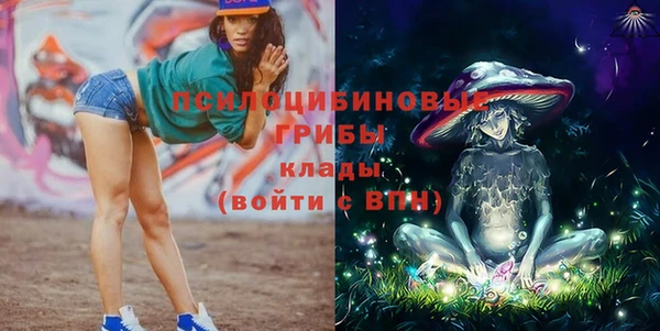 соль ск Белокуриха
